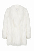 Fur Coat